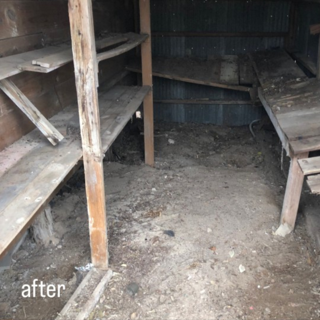 shed after cleanout